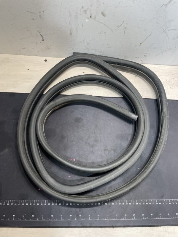 1999-2004 Ford F250 Passenger Rear Door Seal